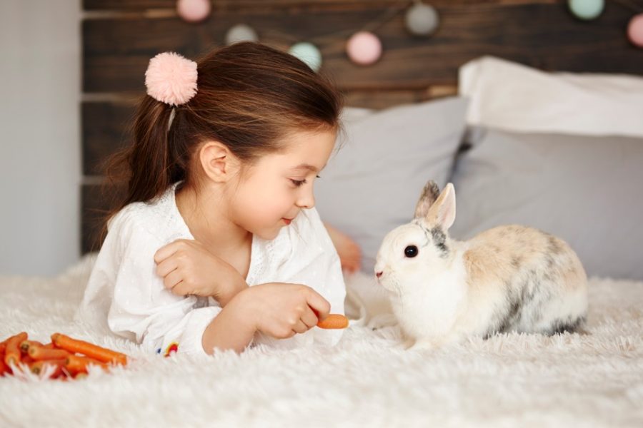 child model with pet rabbit